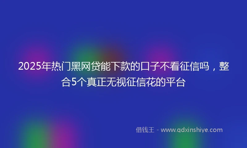 2025年热门黑网贷能下款的口子不看征信吗，整合5个真正无视征信花的平台