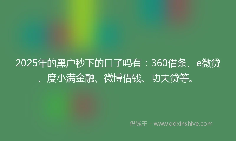 2025年的黑户秒下的口子吗有：360借条、e微贷、度小满金融、微博借钱、功夫贷等。