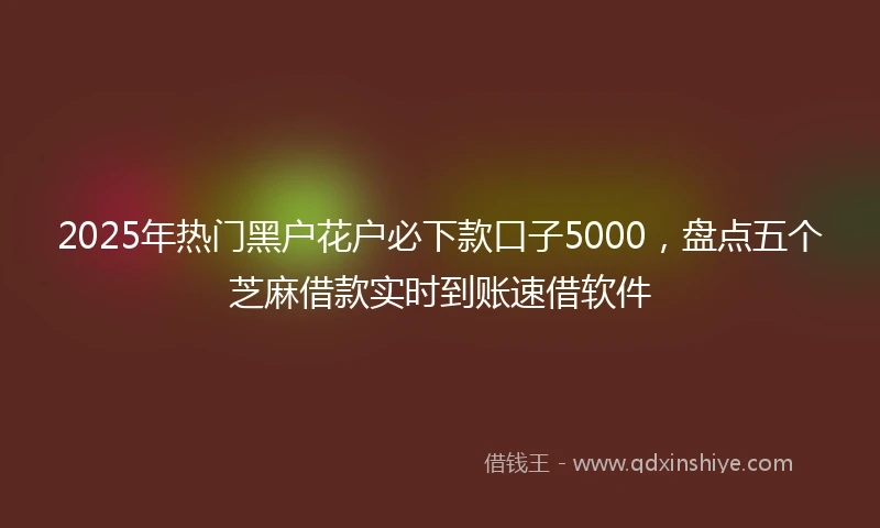 2025年热门黑户花户必下款口子5000，盘点五个芝麻借款实时到账速借软件