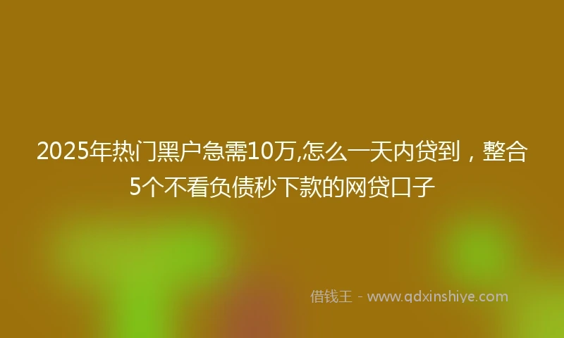2025年热门黑户急需10万,怎么一天内贷到，整合5个不看负债秒下款的网贷口子