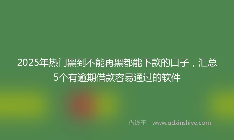 2025年热门黑到不能再黑都能下款的口子，汇总5个有逾期借款容易通过的软件