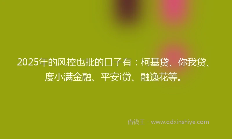 2025年的风控也批的口子有：柯基贷、你我贷、度小满金融、平安i贷、融逸花等。