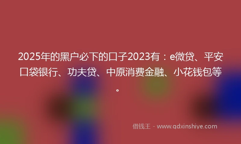 2025年的黑户必下的口子2023有：e微贷、平安口袋银行、功夫贷、中原消费金融、小花钱包等。