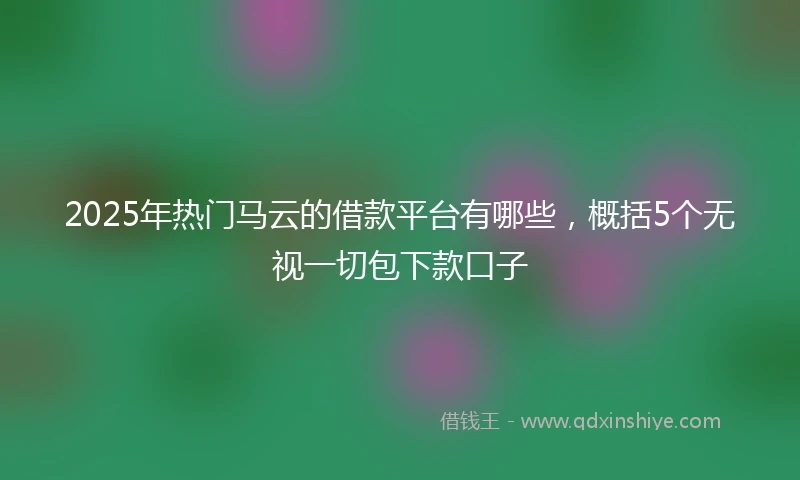 2025年热门马云的借款平台有哪些，概括5个无视一切包下款口子
