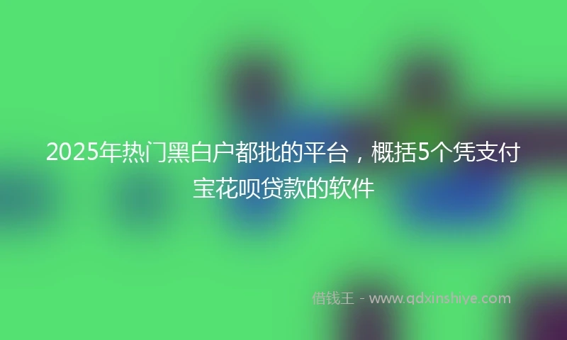 2025年热门黑白户都批的平台，概括5个凭支付宝花呗贷款的软件
