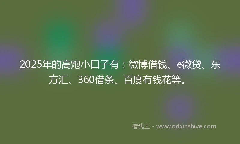 2025年的高炮小口子有：微博借钱、e微贷、东方汇、360借条、百度有钱花等。