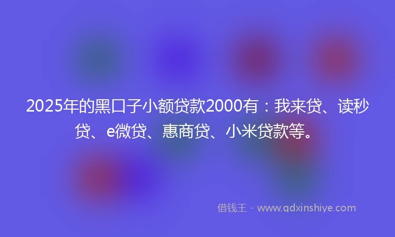 2025年的黑口子小额贷款2000有：我来贷、读秒贷、e微贷、惠商贷、小米贷款等。