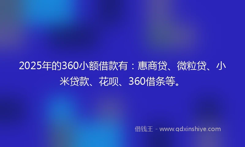 2025年的360小额借款有：惠商贷、微粒贷、小米贷款、花呗、360借条等。