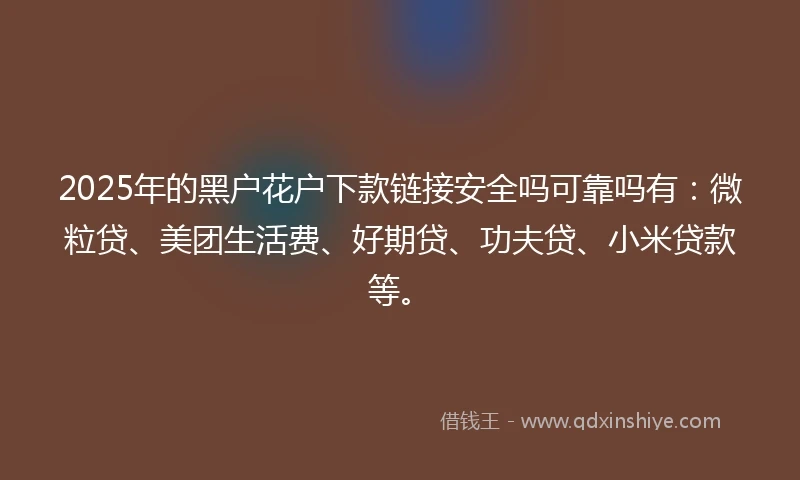2025年的黑户花户下款链接安全吗可靠吗有：微粒贷、美团生活费、好期贷、功夫贷、小米贷款等。