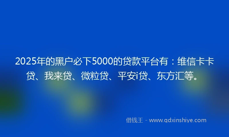 2025年的黑户必下5000的贷款平台有：维信卡卡贷、我来贷、微粒贷、平安i贷、东方汇等。