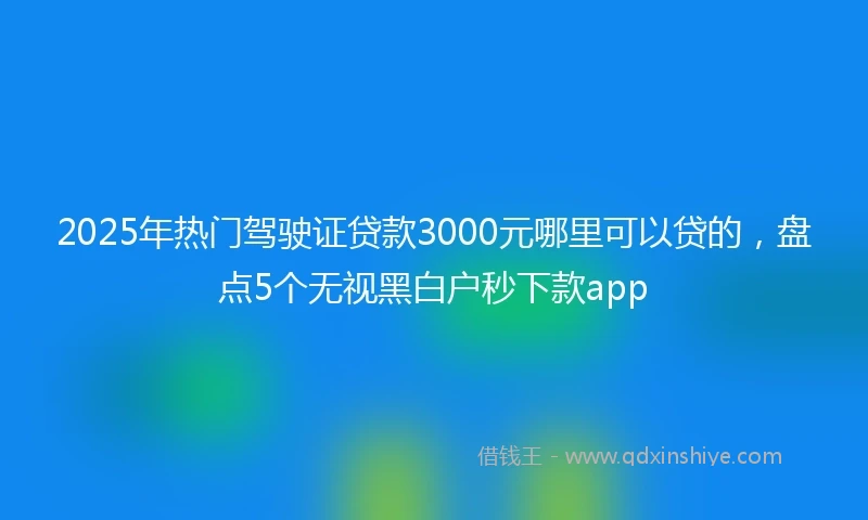 2025年热门驾驶证贷款3000元哪里可以贷的，盘点5个无视黑白户秒下款app