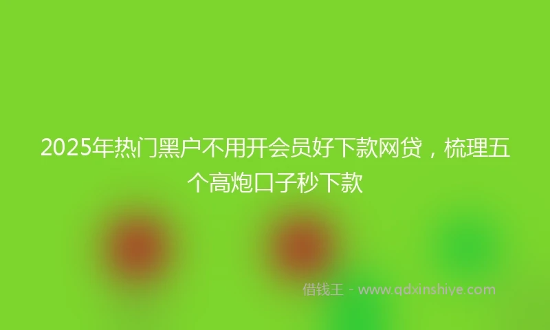 2025年热门黑户不用开会员好下款网贷，梳理五个高炮口子秒下款