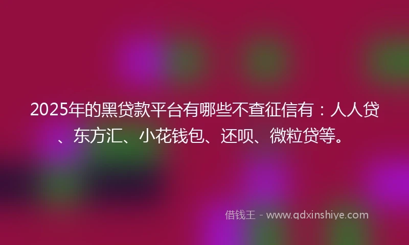 2025年的黑贷款平台有哪些不查征信有：人人贷、东方汇、小花钱包、还呗、微粒贷等。