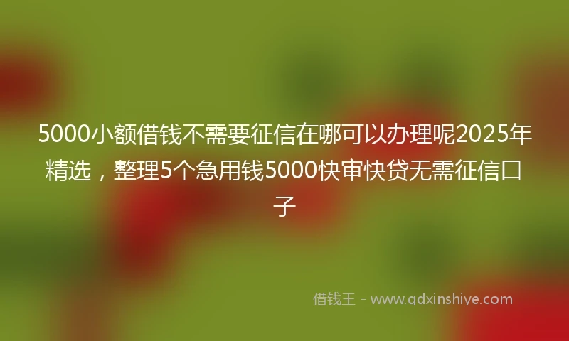 5000小额借钱不需要征信在哪可以办理呢2025年精选，整理5个急用钱5000快审快贷无需征信口子