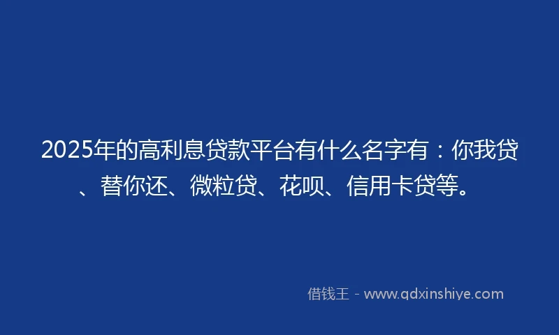 2025年的高利息贷款平台有什么名字有：你我贷、替你还、微粒贷、花呗、信用卡贷等。