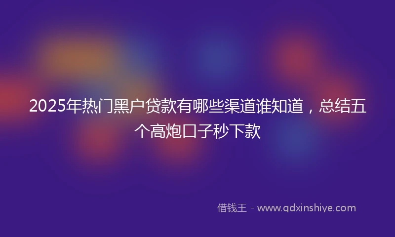 2025年热门黑户贷款有哪些渠道谁知道，总结五个高炮口子秒下款