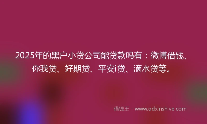 2025年的黑户小贷公司能贷款吗有：微博借钱、你我贷、好期贷、平安i贷、滴水贷等。