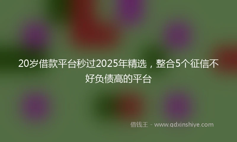 20岁借款平台秒过2025年精选，整合5个征信不好负债高的平台