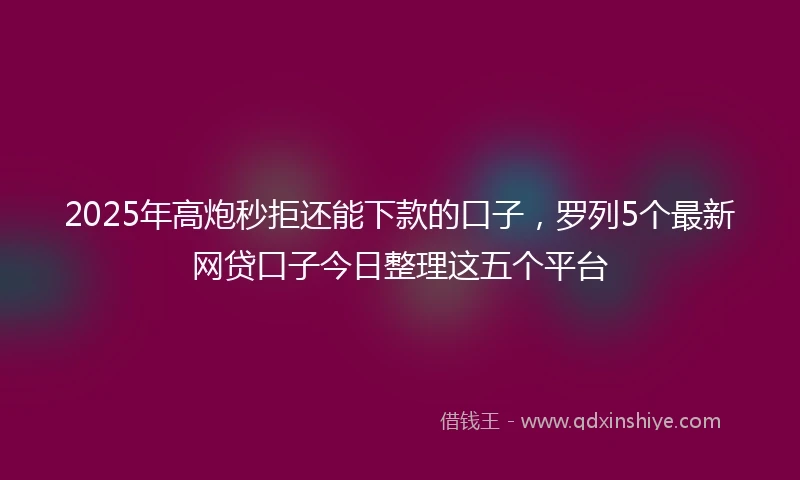 2025年高炮秒拒还能下款的口子，罗列5个最新网贷口子今日整理这五个平台