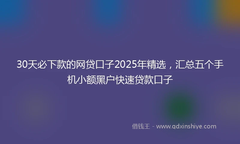 30天必下款的网贷口子2025年精选，汇总五个手机小额黑户快速贷款口子