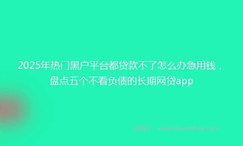 2025年热门黑户平台都贷款不了怎么办急用钱，盘点五个不看负债的长期网贷app