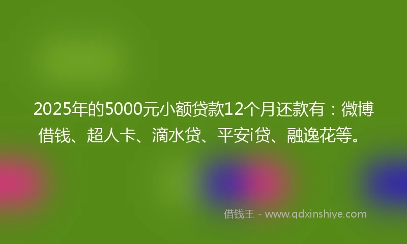 2025年的5000元小额贷款12个月还款有：微博借钱、超人卡、滴水贷、平安i贷、融逸花等。