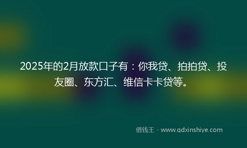 2025年的2月放款口子有：你我贷、拍拍贷、投友圈、东方汇、维信卡卡贷等。