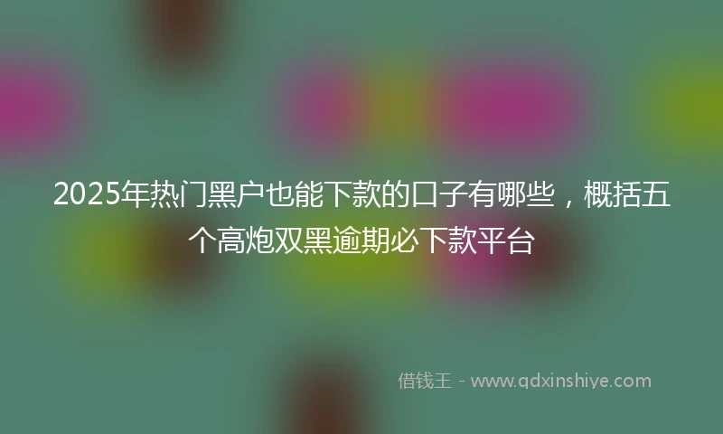 2025年热门黑户也能下款的口子有哪些，概括五个高炮双黑逾期必下款平台
