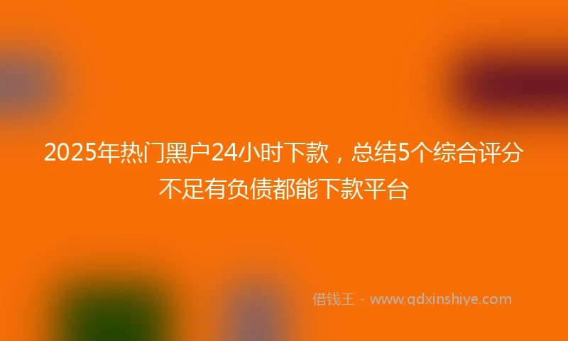 2025年热门黑户24小时下款，总结5个综合评分不足有负债都能下款平台