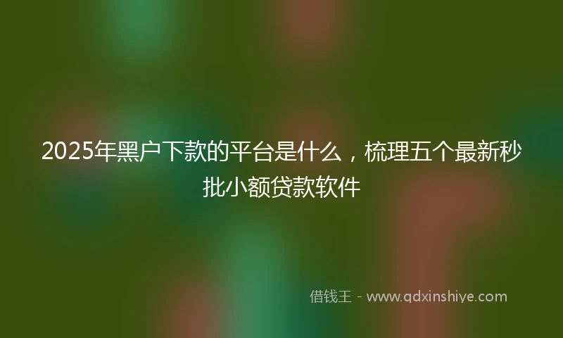 2025年黑户下款的平台是什么，梳理五个最新秒批小额贷款软件