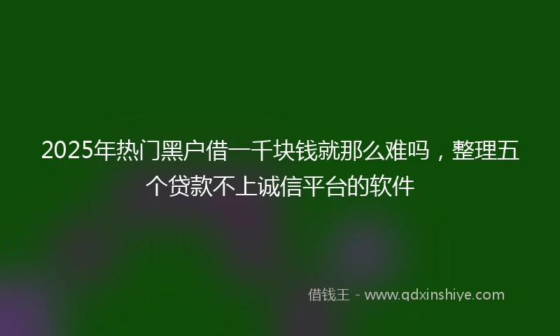 2025年热门黑户借一千块钱就那么难吗，整理五个贷款不上诚信平台的软件