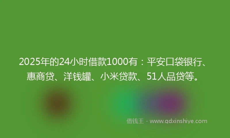 2025年的24小时借款1000有：平安口袋银行、惠商贷、洋钱罐、小米贷款、51人品贷等。