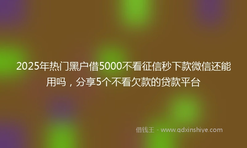 2025年热门黑户借5000不看征信秒下款微信还能用吗，分享5个不看欠款的贷款平台