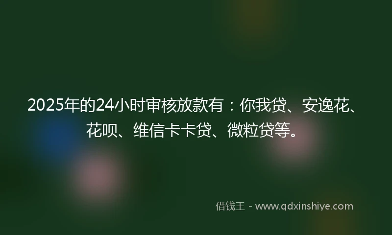 2025年的24小时审核放款有：你我贷、安逸花、花呗、维信卡卡贷、微粒贷等。