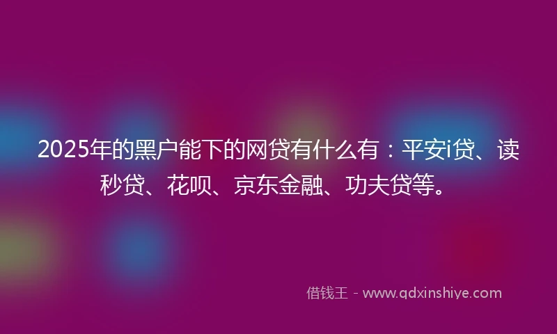 2025年的黑户能下的网贷有什么有：平安i贷、读秒贷、花呗、京东金融、功夫贷等。