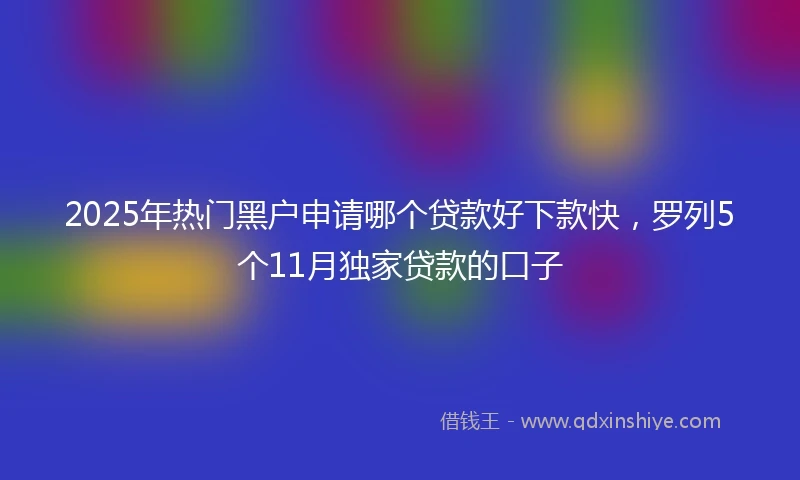 2025年热门黑户申请哪个贷款好下款快，罗列5个11月独家贷款的口子