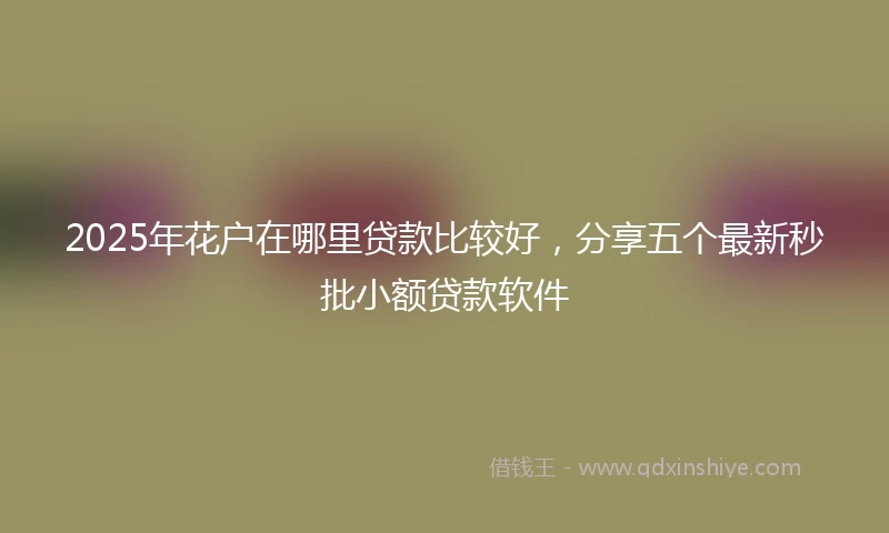 2025年花户在哪里贷款比较好，分享五个最新秒批小额贷款软件