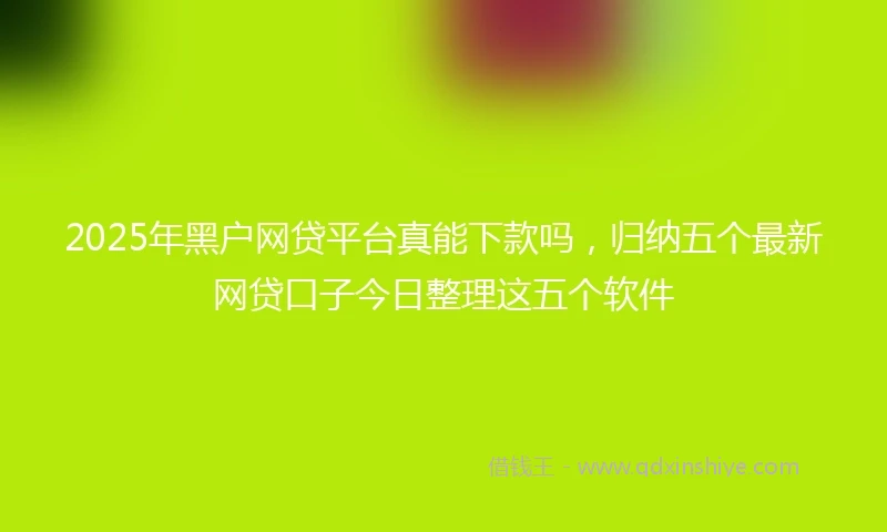 2025年黑户网贷平台真能下款吗，归纳五个最新网贷口子今日整理这五个软件