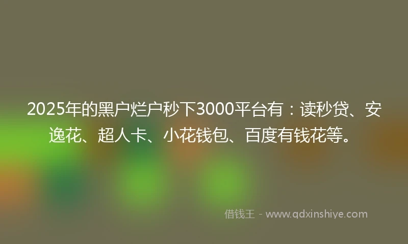2025年的黑户烂户秒下3000平台有：读秒贷、安逸花、超人卡、小花钱包、百度有钱花等。