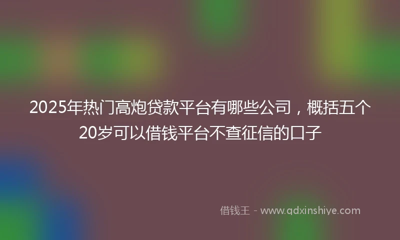 2025年热门高炮贷款平台有哪些公司，概括五个20岁可以借钱平台不查征信的口子