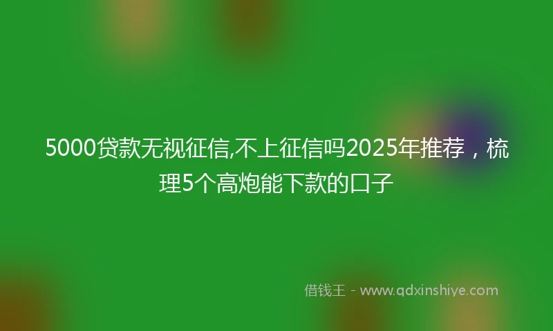 5000贷款无视征信,不上征信吗2025年推荐，梳理5个高炮能下款的口子