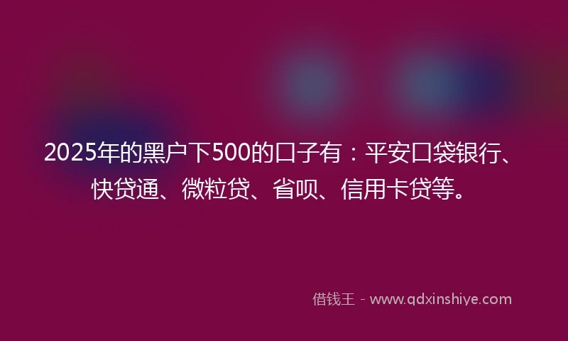 2025年的黑户下500的口子有：平安口袋银行、快贷通、微粒贷、省呗、信用卡贷等。