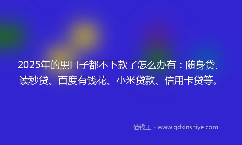 2025年的黑口子都不下款了怎么办有：随身贷、读秒贷、百度有钱花、小米贷款、信用卡贷等。