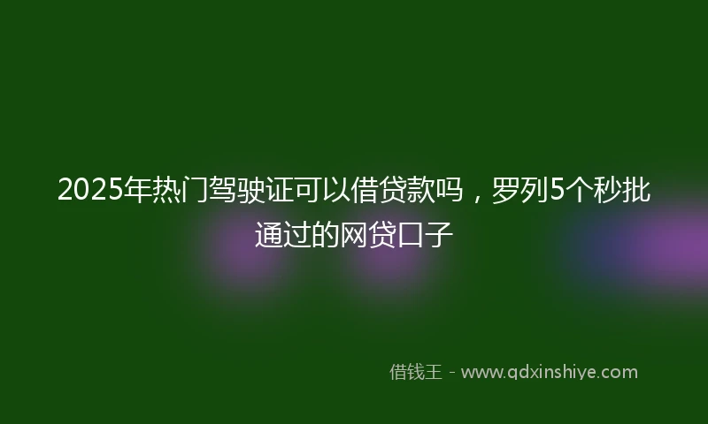 2025年热门驾驶证可以借贷款吗，罗列5个秒批通过的网贷口子