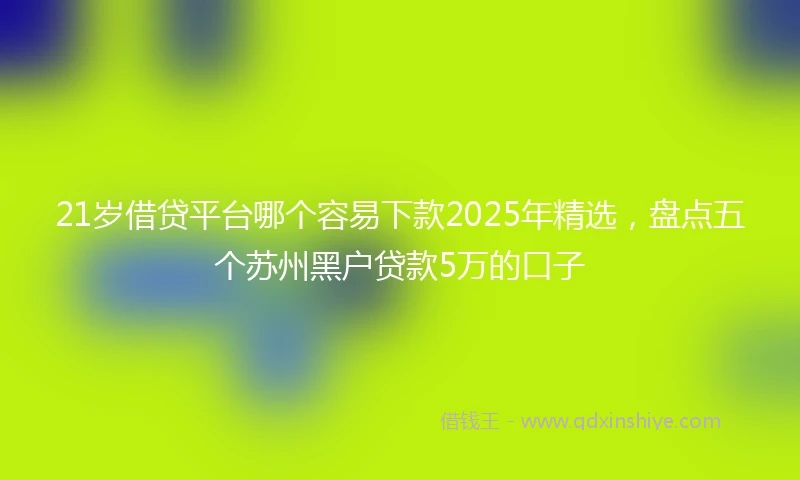 21岁借贷平台哪个容易下款2025年精选，盘点五个苏州黑户贷款5万的口子