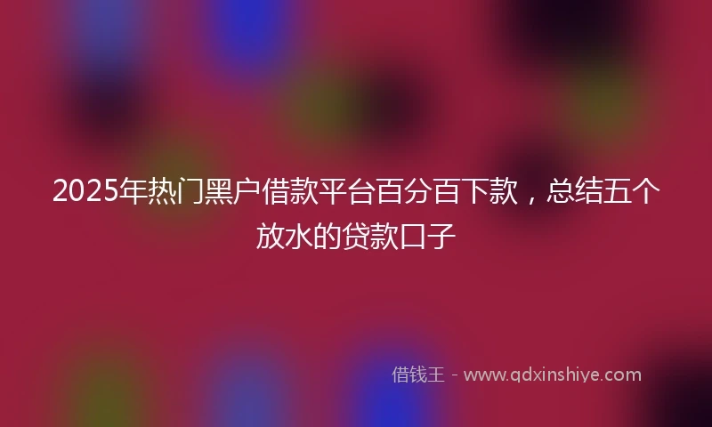 2025年热门黑户借款平台百分百下款，总结五个放水的贷款口子