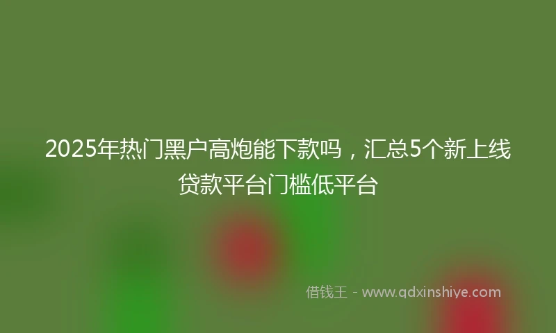 2025年热门黑户高炮能下款吗，汇总5个新上线贷款平台门槛低平台