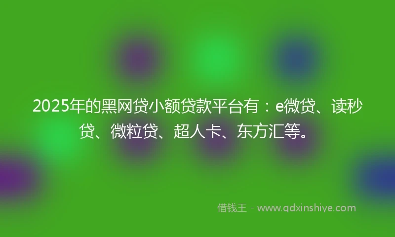 2025年的黑网贷小额贷款平台有：e微贷、读秒贷、微粒贷、超人卡、东方汇等。