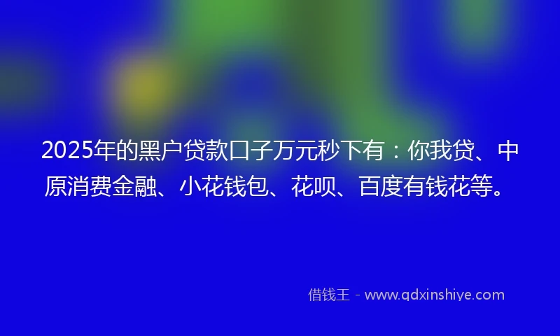 2025年的黑户贷款口子万元秒下有：你我贷、中原消费金融、小花钱包、花呗、百度有钱花等。