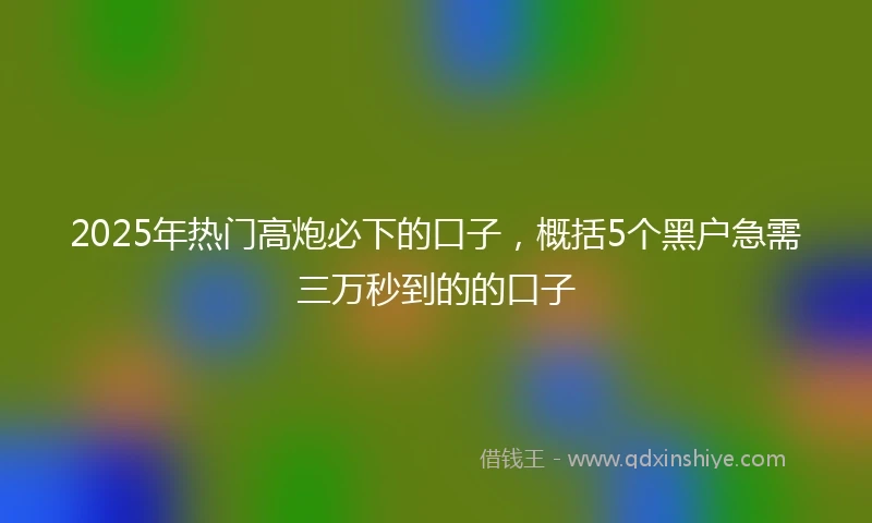 2025年热门高炮必下的口子，概括5个黑户急需三万秒到的的口子